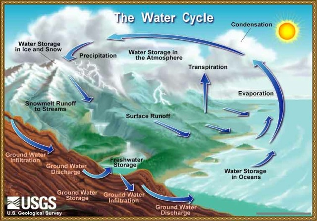 hydrological-cycle