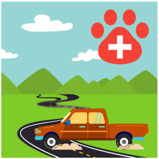 Dragon Lake Vet Mobile Services