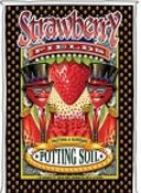 FoxFarm Strawberry Fields, Soilless Mix, Media, Growing Media, Fox Farm