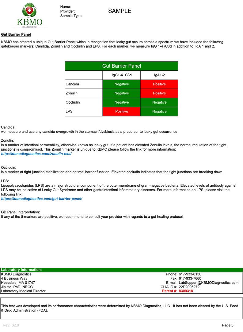 FIT 132 TEST - SAMPLE REPORT page 3