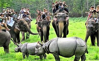Kaziranga National Park Tour Package From Guwahati And Kolkata