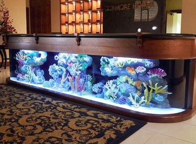 custom commercial space fish tank in hotel lobby