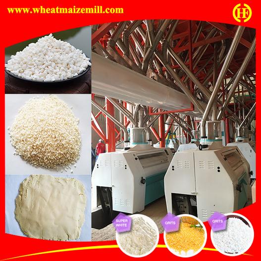 different finished products from commercial maize milling plant