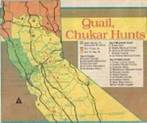 upland bird hunting clubs and ranches locations