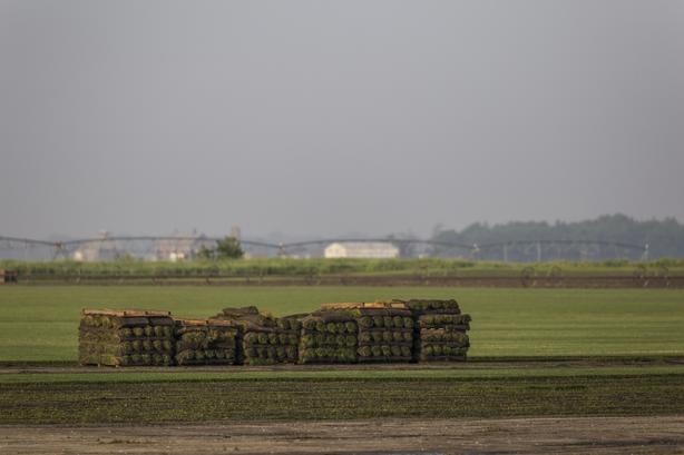 Sod Farm