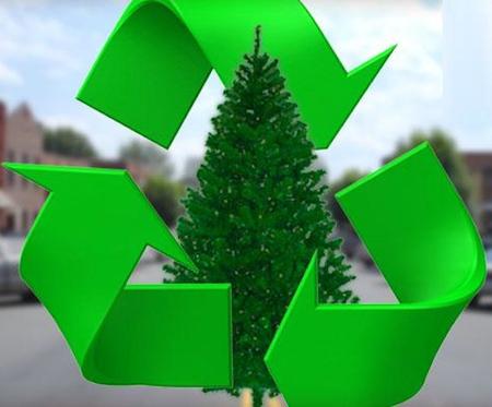 Christmas Tree Recycling Christmas Tree Removal Lincoln NE | LNK Junk Removal