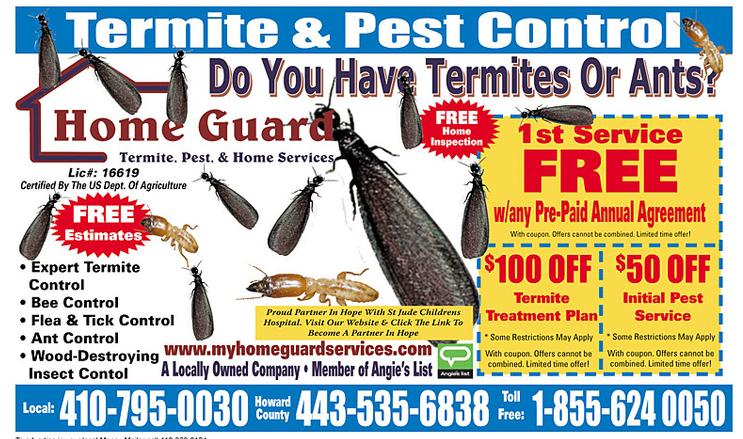 pest control special offer
