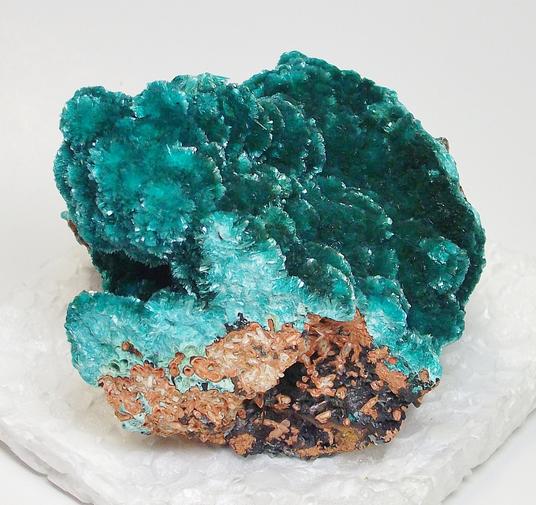 Aurichalcite crystals 79 Mine, Dripping Spring Mountains, Gila Co., Arizona