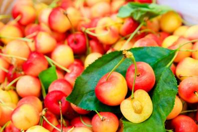 Chỗ nào bán quả Cherry