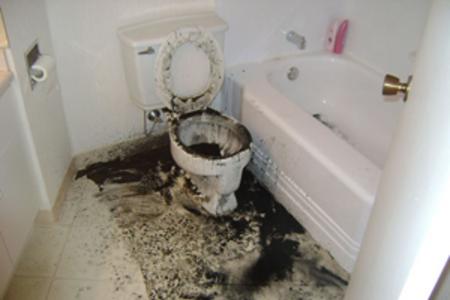 an overflowing toilet in Tampa that has spread fecal matter and sewage all over the bathroom.
