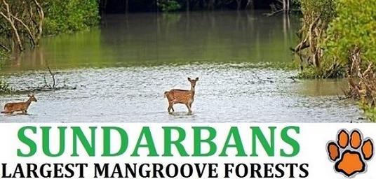 Sundarban National Park