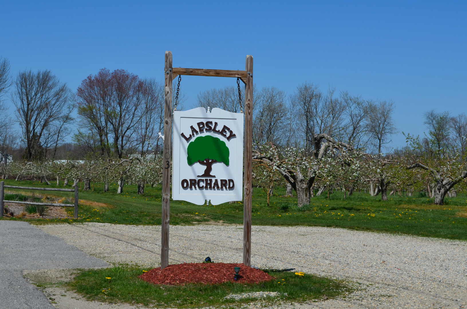 Lapsley Orchards photo 14