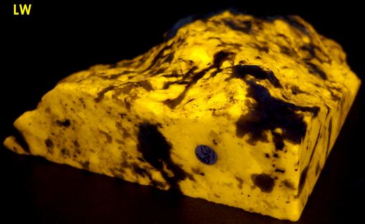 fluorescent SCAPOLITE WERNERITE, Marialite-Meionite, TREMOLITE, PYRITE - Grenville Scapolite Prospect, Grenville-sur-la-Rouge, Argenteuil RCM, Laurentides, Québec, Canada - ex Grace and Kennard Borden, ex Morris Museum