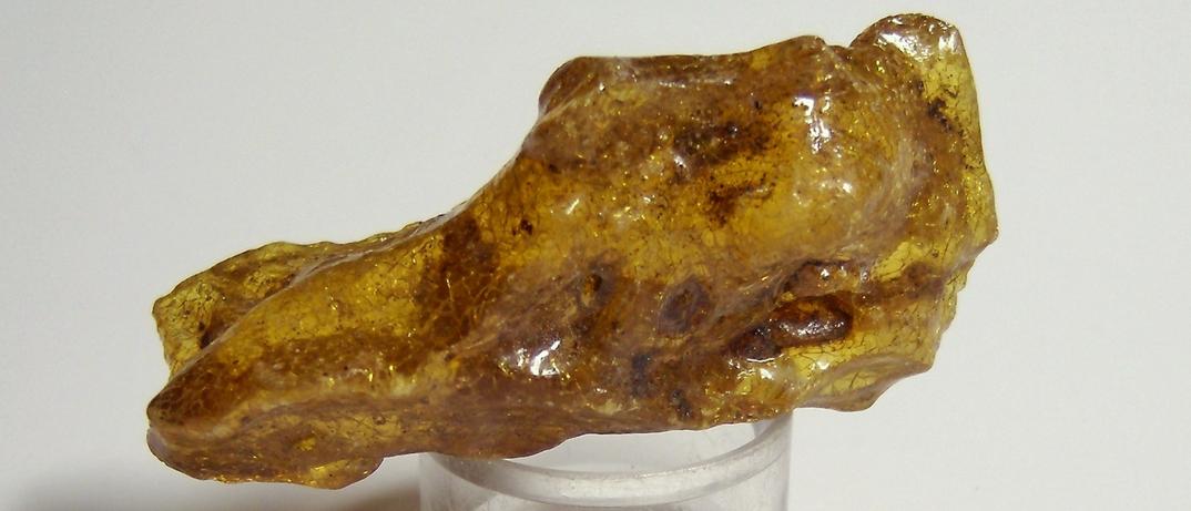 Fluorescent golden AMBER - Dominican Republic, ex Sue MacInnis