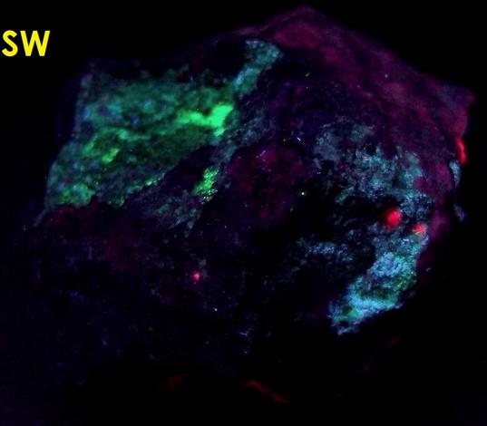 fluorescent TUGTUPITE with AEGIRINE - Ilimaussaq complex, Narsaq, Kujalleq (Kitaa Province - West Greenland), Greenland, Denmark - type locality