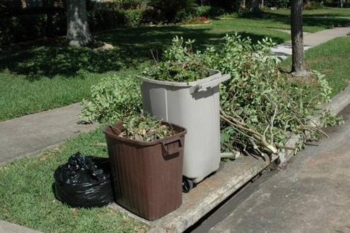 LAWN DEBRIS REMOVAL SERVICES