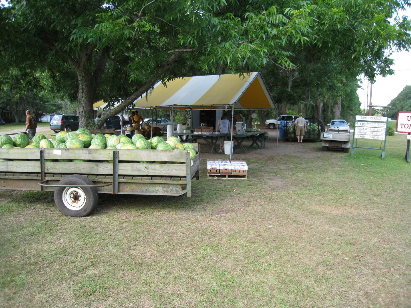DEMPSEY FARMS UPICK photo 7