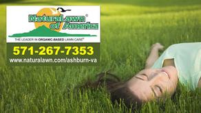 Naturalawn of America Reviews