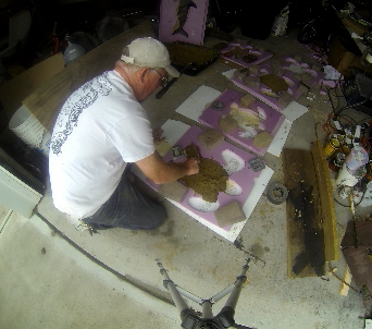 How to make custom mold for Sea Turtle stepping stones