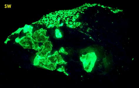 fluorescent sw lw willemite, franklinite, kutnahorite, kutnohorite, Sterling Mine, Sterling Hill, Ogdensburg, Franklin Mining District, Sussex County, New Jersey