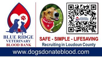 Blue Ridge Veterinary Blood Bank