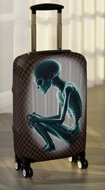 "NOTHING TO DECLARE" Carry On Suitcase Protector Check Design.