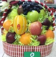 hoa quả nhập khẩu