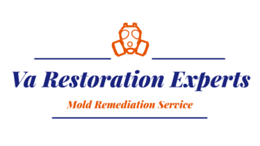 Virginia Restoration Experts Mold Remediation Services