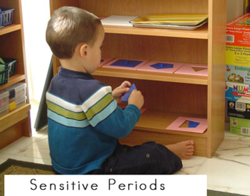 sensitive periods in childhood development - Montessori Print Shop