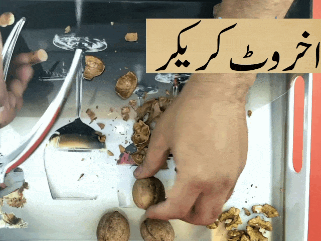 walnut cracker in pakistan akhrot cutter nutcracker lahore karachi