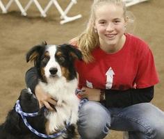 Australian Shepherd Breeders - Out West Aussies