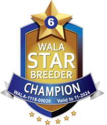 WALA Star Reward Program