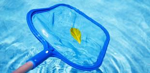 Crystal Clear Pool Services