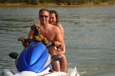 Rhodesian Ridgeback Puppy - Simba