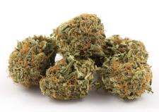 buy weed online Canada-where to buy weed online