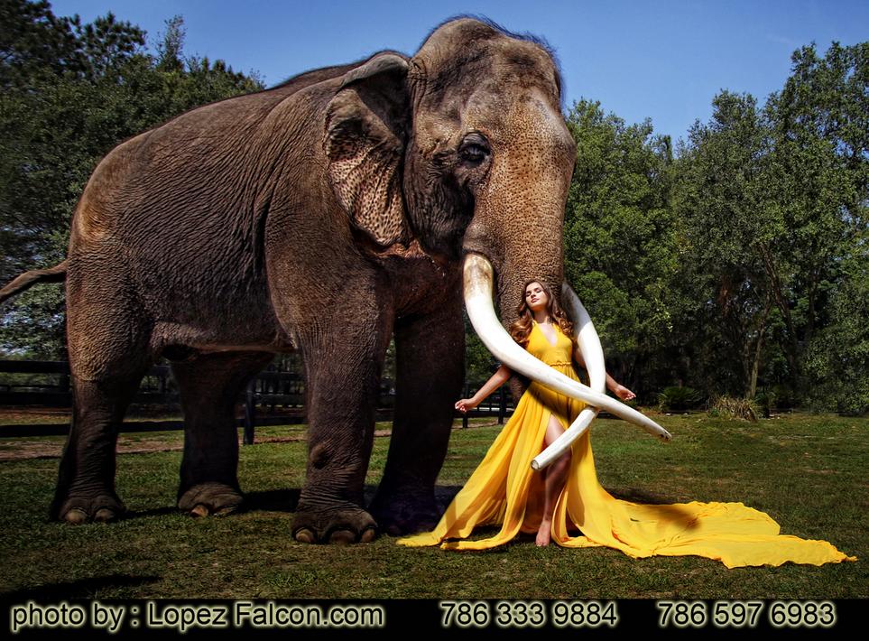 ELEPHANT QUINCES QUINCEANERA QUINCE PHOTOGRAPHY MIAMI LOPEZ FALCON