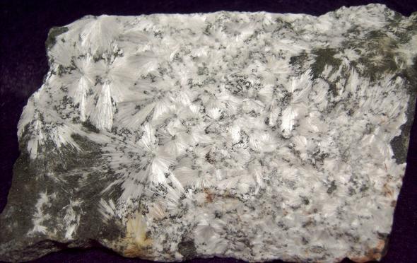 fluorescent phosphorescent Xonotlite, Magnetite, Serpentine, Hunting Hill quarry (Rockville Crushed Stone Quarry; Travilah Quarry; Rockville Quarry; Bardon Stone Quarry; Aggregate Industries Quarry), Rockville, Montgomery County, Maryland, USA, ex Fred J. Parker
