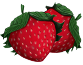 Scott T. Cook, Illustrator