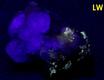 GALENA, QUARTZ, fluorescent FLUORITE, ANGLESITE - Blanchard Mine (Portalas-Blanchard Mine; Portales-Blanchard Mine; Hansonburg Lead mine; McCarthy Lead mine), Bingham, Hansonburg District, Socorro County, New Mexico, USA - ex Parker Minerals