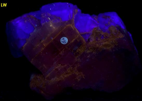 fluorescent FLUORITE, CALCITE, CHALCOPYRITE - Cave-in-Rock, Cave-in-Rock Sub-District, Illinois - Kentucky Fluorspar District, Hardin County, Illinois, USA - ex Morris Museum, ex Ken and Grace Borden