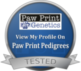 Jack's Paw Print Genetics - Utah Bernedoodles