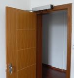 automatic swing door