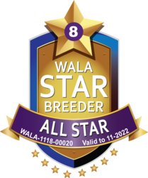 WALA STAR Reward Program