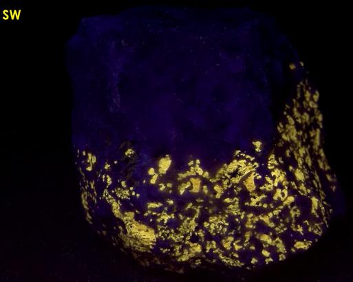 fluorescing NORBERGITE, FLUOROPHLOGOPITE, GRAPHITE, CALCITE - Franklin Quarry (Braens Quarry; Moses Bigelow Quarry; Farber Quarry), Franklin Marble, Franklin, Franklin Mining District, Sussex County, New Jersey, USA