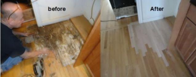 repairing hardwood floor.