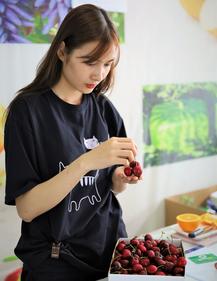 Cherry đỏ Mỹ