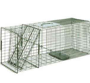 Single Door Cage Trap for raccoon and cat