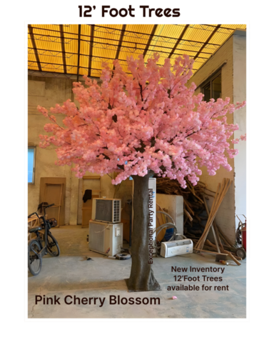 #pinkcherryblossomtrees #weddingtrees #pinktrees #pinkcherryblossom