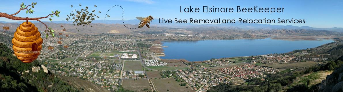 Lake Elsinore Bee Removal Services