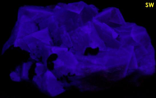 fluorescent FLUORITE, SIDERITE - Hilton Mine, Scordale, Hilton (Murton), Escarpment District, Eden, North Pennines, South Eastern Region (Westmorland), Cumbria, England, United Kingdom